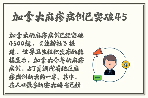 年轻的的小保 HD2日本